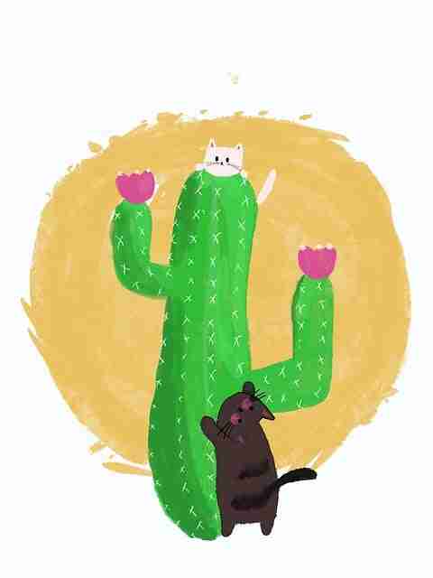 高能警告：吃瓜51榜单解读一图读懂