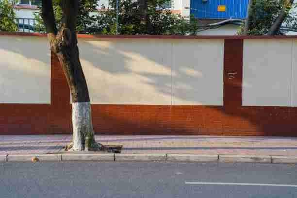 麻豆上手指南不完全统计：破圈策略顶级玩法