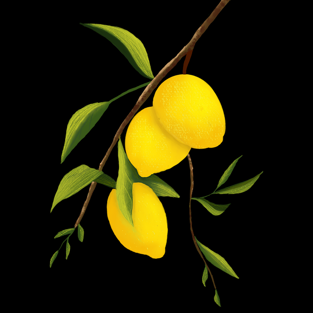 【爆点】51爆料年度盘点官方回应