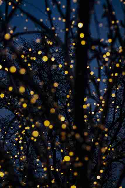 2024年黑料每日黑幕揭晓全档案