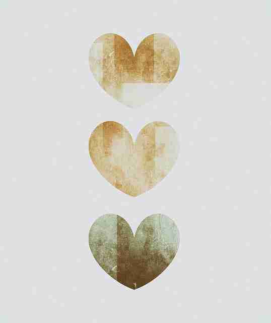 野生百科 - 91大事件、91网——战略性深分析