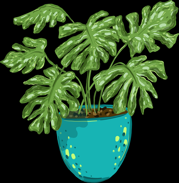 2025年汤头条流程复盘全档案